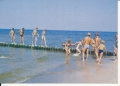 IMG_0041.jpg