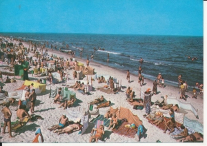 Pogorzelica Bałtyk morze plaża - 042876