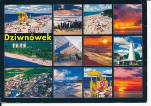 Dziwnówek widokowa - 043027