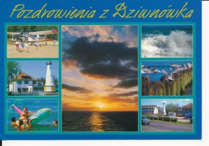 Dziwnówek widokowa - 043028