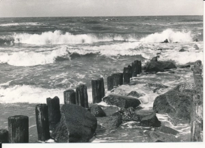 Dziwnów plaża - 043033