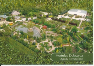 Dobrzyca ogrody - 043068