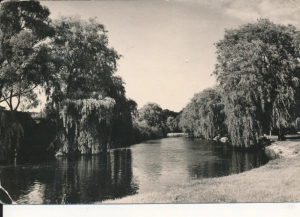 Gryfice park - 043199