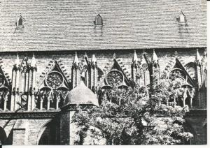 Kamień Pomorski katedra - 043226