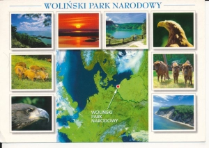 Woliński Park Narodowy - 043350