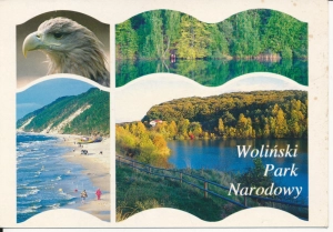 Woliński Park Narodowy - 043351