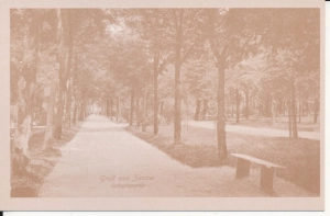 Sianów park reprint - 043403