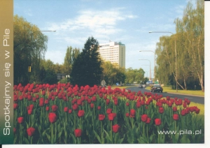 Piła Hotel Gromada - 043475