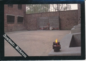 Auschwitz Oświęcim obóz zagłady - 043589