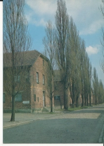 Auschwitz Oświęcim obóz zagłady - 043602