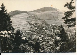 Muszyna widok ogólny - 043669