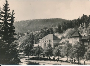 Krynica fragment uzdrowiska - 043674