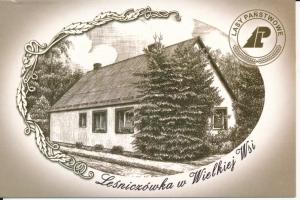 Damnica Leśniczówka w Wielkiej Wsi - 043689