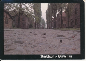 Auschwitz Oświęcim obóz zagłady - 043705