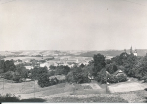 Brzozów widok ogólny - 043708