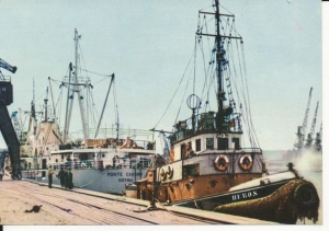 Gdynia statki przy nabrzeżu - 043740