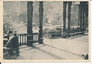 Szczawno Zdrój park - 043785