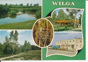 Wilga widoki widokowa - 043843