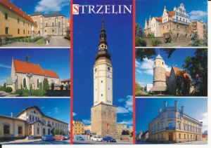 Strzelin widoki widokowa - 043910