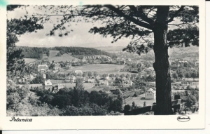 Polanica Zdrój panorama - 043918