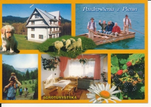 Pieniny widoki widokowa - 043967