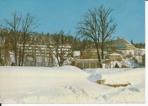 Krynica fragment uzdrowiska - 043993