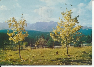 Tatry Wysokie panorama - 044062
