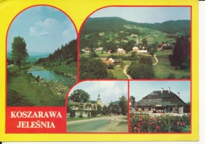 Koszarawa Jelesina widokowa - 044133