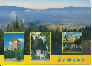 Żywiec widoki widokowa - 044141