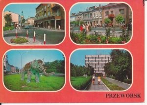 Przeworsk widoki widokowa - 044161