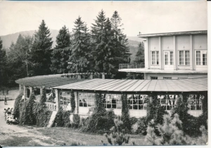 Krynica na Górze Parkowej - 044206