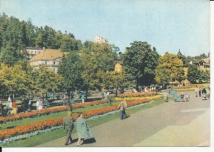 Krynica fragment parku - 044317