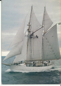 Szkuner Falken - 044372