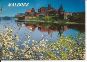 Malbork panorama zamek - 044415