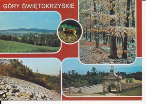 Góry Świętokrzyskie widokowa - 044484