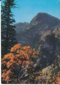 Tatry Mięguszowiecki Szczyt - 044524