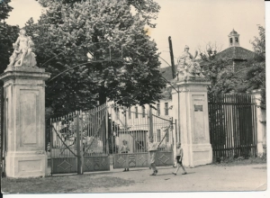 Brody Pałac - 044536
