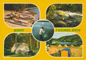 Bory Tucholskie widokowa - 044549