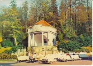 Krynica muszla koncertowa - 044592