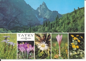Tatry widoki widokowa - 044621