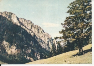 Tatry Dolina Kościeliska - 044632