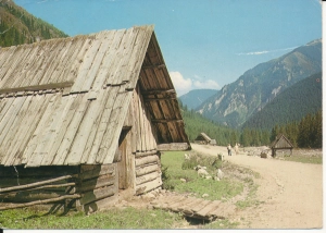 Tatry Polana Chochołowska - 044650