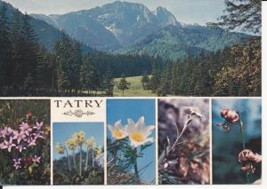 Tatry widoki widokowa - 044682