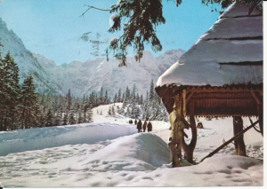 Tatry droga do Morskiego Oka - 044691