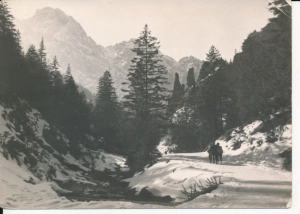 Tatry Dolina Strążyska - 044701