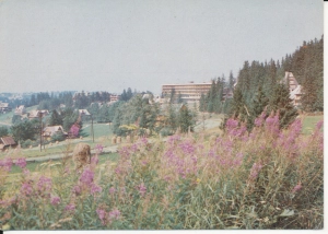 Bukowina Tatrzańska - 044714