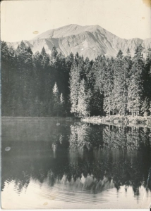 Tatry Dolina Kościeliska - 044725