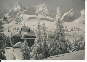 Tatry Hala Gąsienicowa - 044732