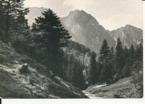 Tatry Dolina Strążyska - 044733