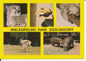 Poznań Ogród Zoologiczny - 044741